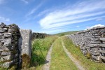 Images for Middle Scales, Chapel Le Dale