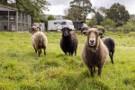 Images for The Hay Loft Barn, Cold Cotes.