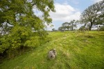 Images for The Hay Loft Barn, Cold Cotes.