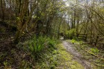 Images for Mill Bridge Barn, Tatham