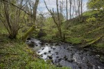 Images for Mill Bridge Barn, Tatham